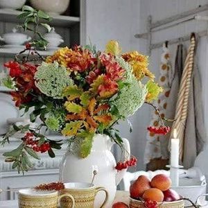 Meet your Posher, Janis